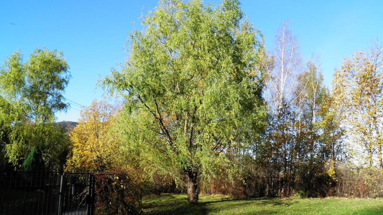 Podelniska Porąbka Exteriör bild